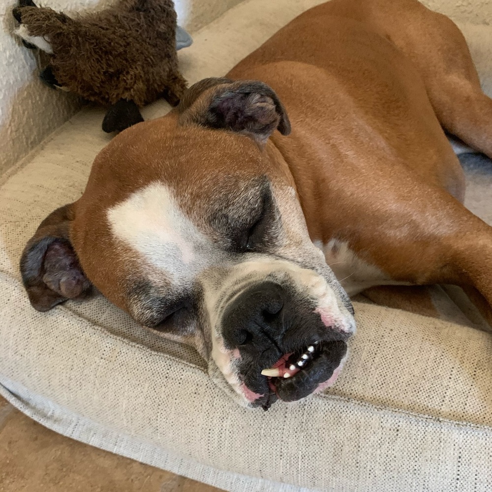 Meet your Posher, Kate